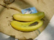 珈琲農園国産台湾バナナ