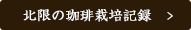 北限の珈琲栽培記録